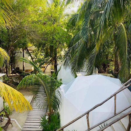 Frequency Hotel Holbox Eksteriør billede