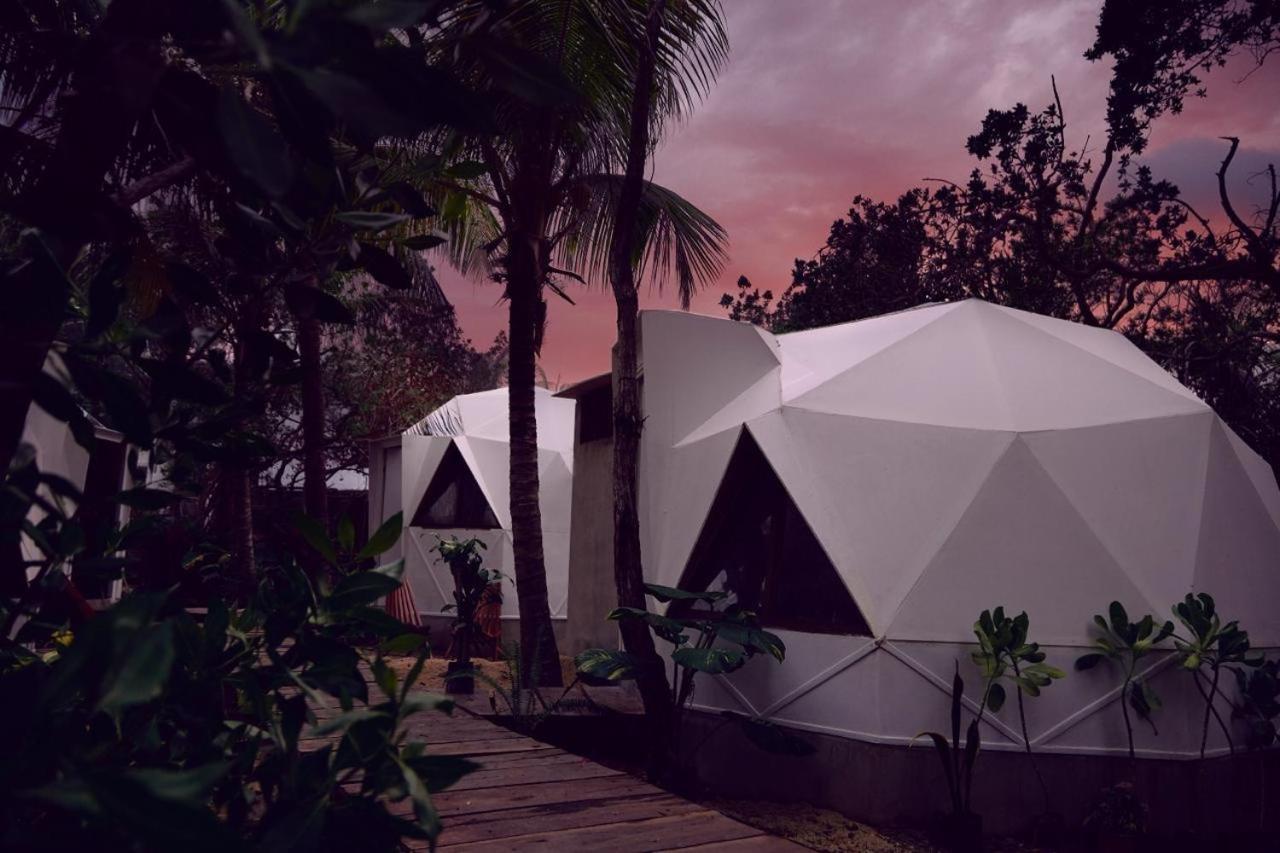 Frequency Hotel Holbox Eksteriør billede