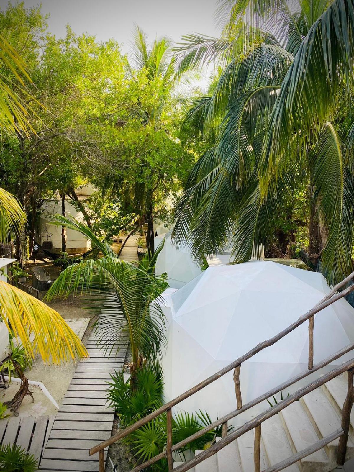 Frequency Hotel Holbox Eksteriør billede
